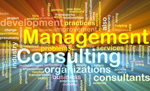 管理咨詢 企業(yè)發(fā)展的智慧引擎